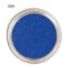 Maquillage à L'eau Bleu Roi 15 Grammes 1 Maquillage à L'eau Bleu Roi 15 Grammes -Halloween Soldes Magasin 276a45cb9978376bf02202d8d61e6809