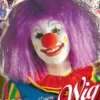 Perruque Clown Unisexe -Halloween Soldes Magasin 4465